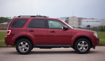 2012 Used Ford Escape XLT For Sale full